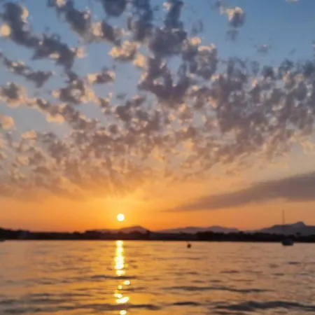 Avec Jardin Proche De La Appartement