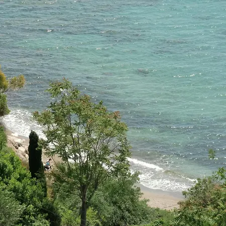 Avec Jardin Proche De La